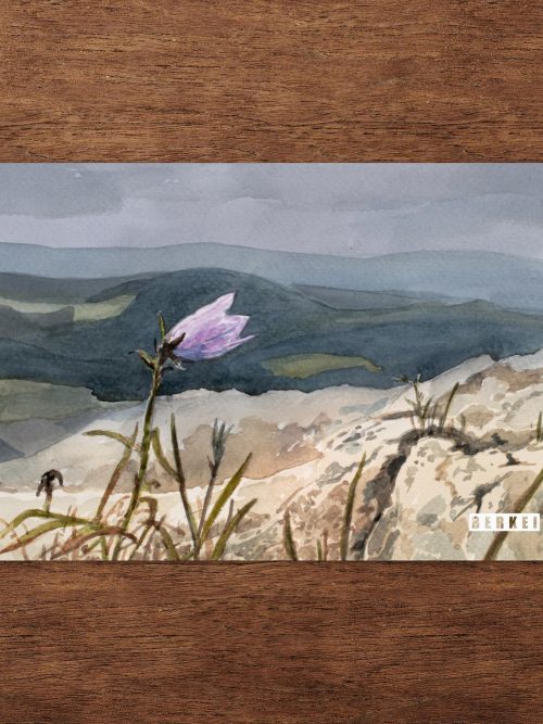 Aquarell Postkarte mit Glockenblume und Landschaft bei Milseburg