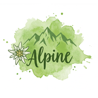 Einsatzbereich: Alpin